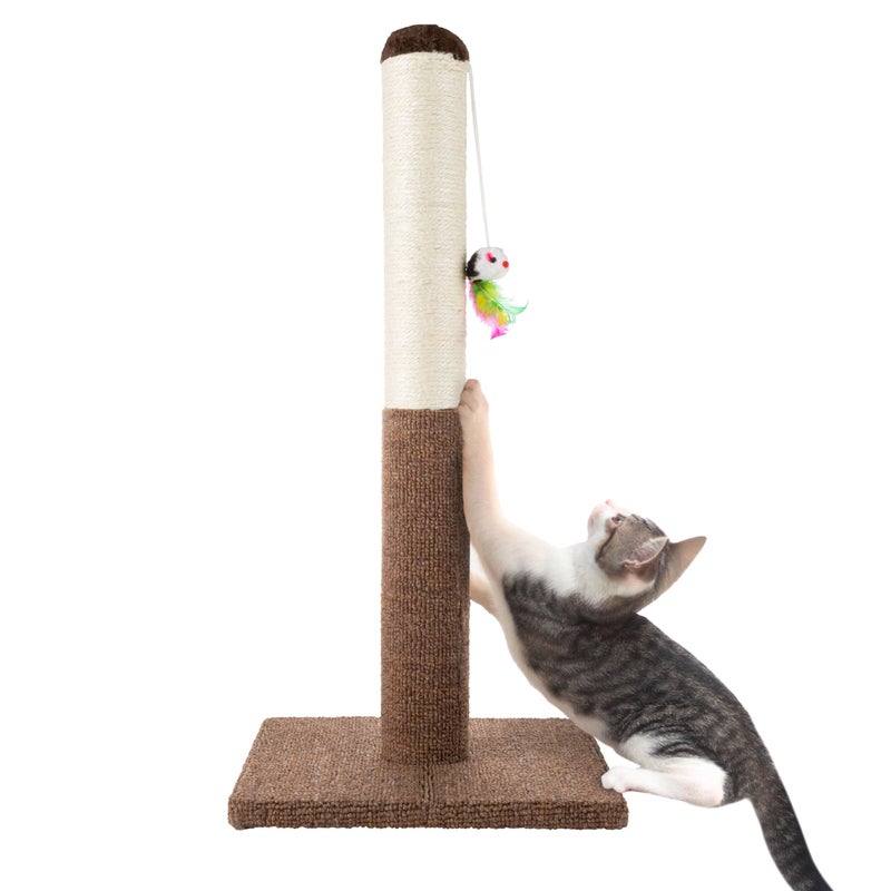 PETMAKER Cat Scratching Post - Tall Scratcher for Cats and Kittens with Sisal Rope and Carpet, Hanging Mouse Toy for Interactive Play (24.5 Inch) - Image 1